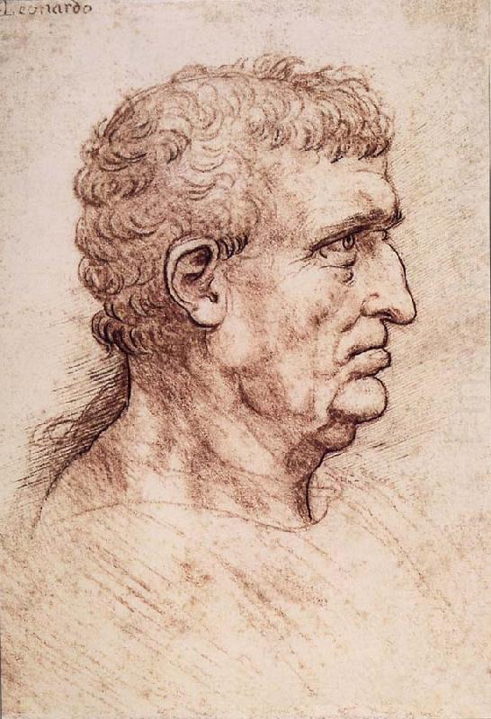Profile of a man, LEONARDO da Vinci
